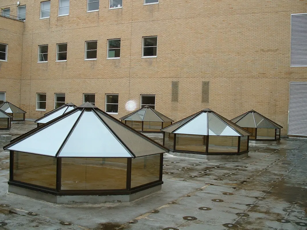 Flat Roof Skylights St John's Wood